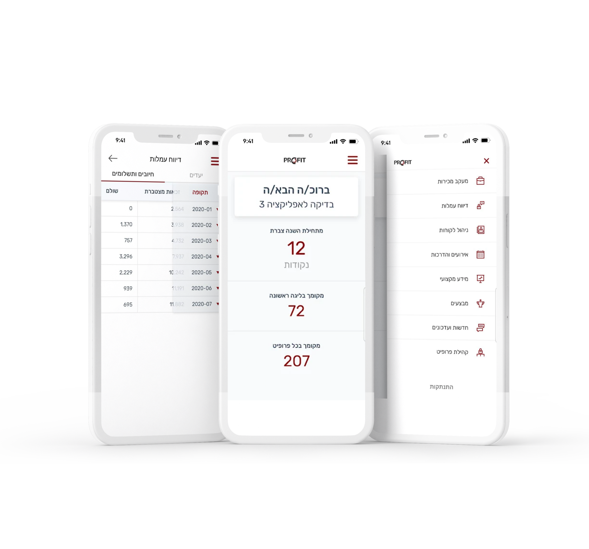 We Specified, Designed & Developed the Profit App – goal and solution